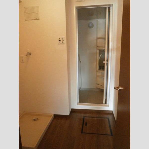 ザ・ハウス野田302号室 洗面所