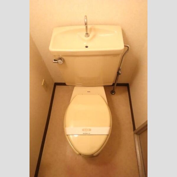 エイトジャパンシーダー トイレ