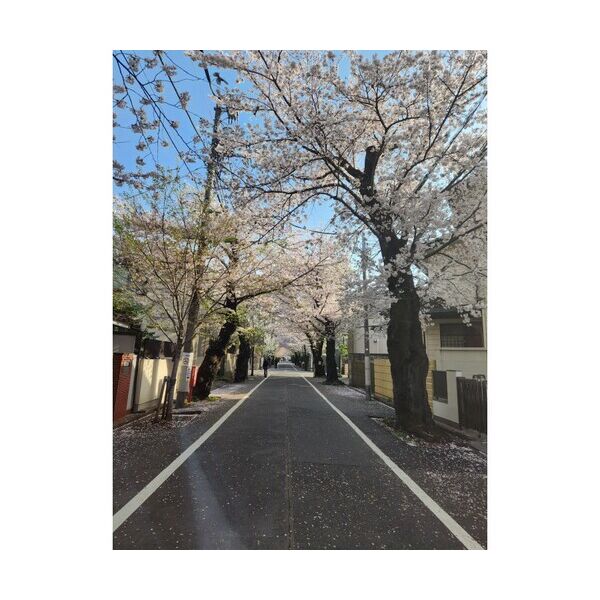 世田谷区上北沢3丁目戸建貸家 周辺