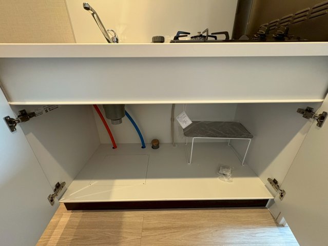 DIPS西新井405号室 収納