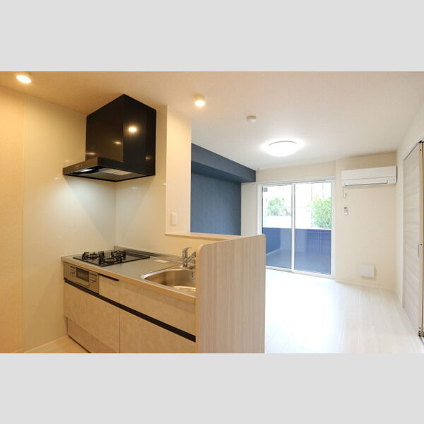 Dear Life システムキッチン