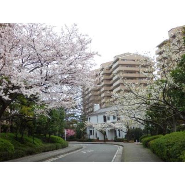 パークシティ本牧Ａ棟 外観