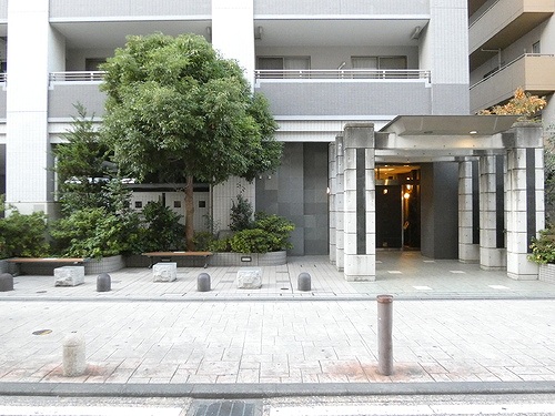 ライオンズステーションプラザ溝の口セントラルアベニュー8階 エントランス