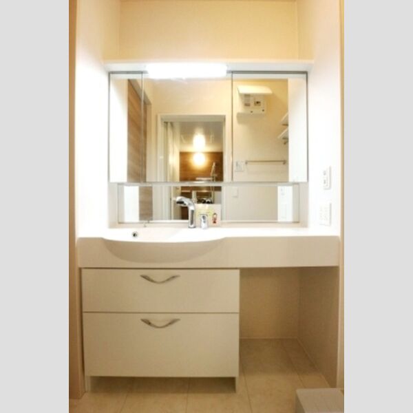 メゾン・ド・TJ2  洗髪洗面化粧台