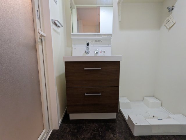 ハーモニーレジデンス品川高輪106号室 洗面