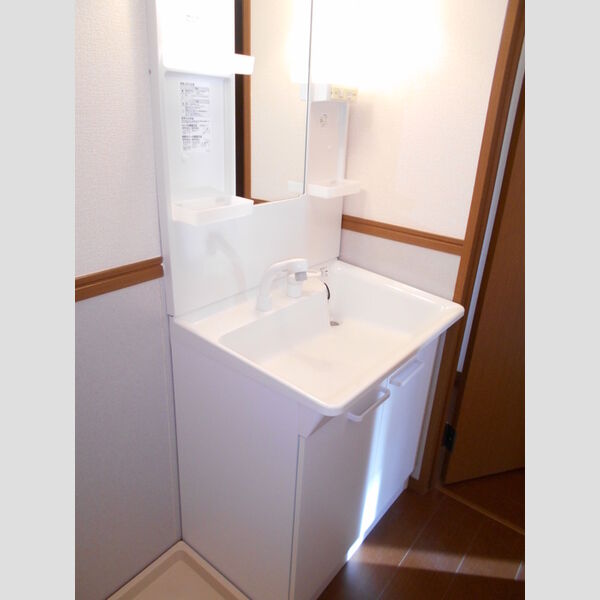 メイプルタウン川越的場　A/B/C/D/E/GD102号室 洗面