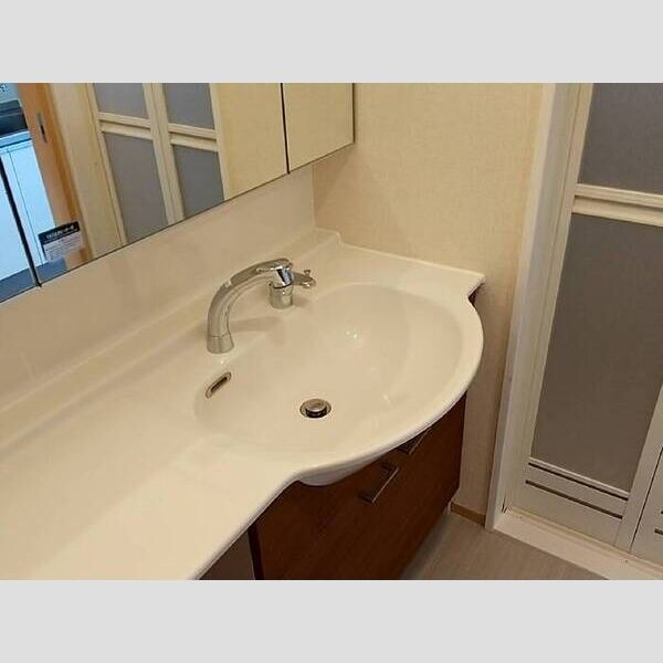 サンビレッジ春205号室 洗髪洗面化粧台