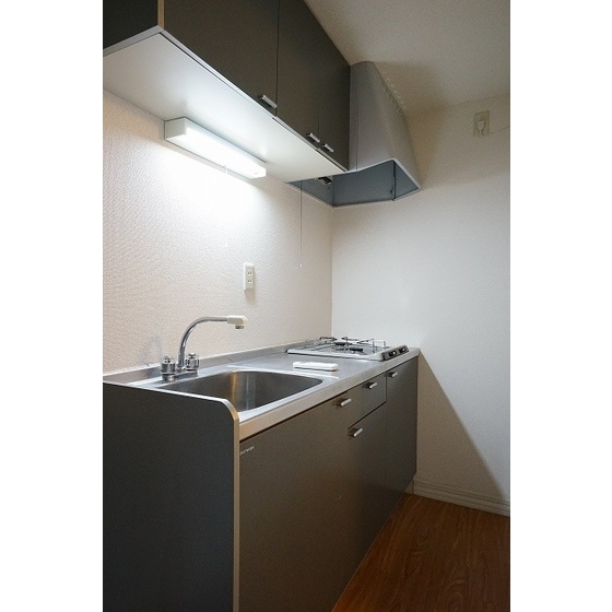 カーサグリス0102号室 キッチン