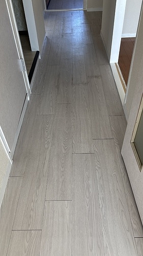 パールマンション船橋　１棟 廊下