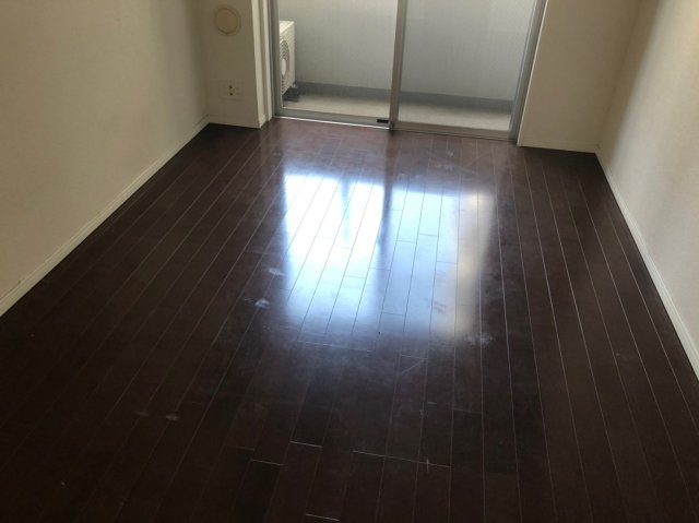 SYNEX HON-KOMAGOME ※過去退去時原状回復前のお写真です