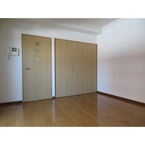 ルビナス・ウエストパレス0303号室 居室・リビング