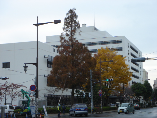 ネオ・いしばし 独協医大病院まで4,000ｍ
