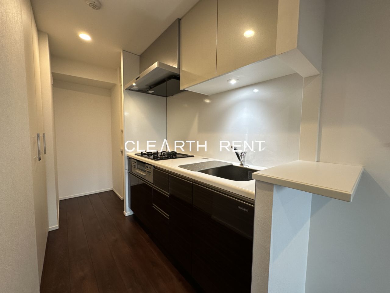 プラシア蒲田 ＴＨＥ ＧＲＡＮＤ ＲＥＳＩＤＥＮＣＥ4階 同タイプ別住戸写真となります。現況と異なる場合がございます。