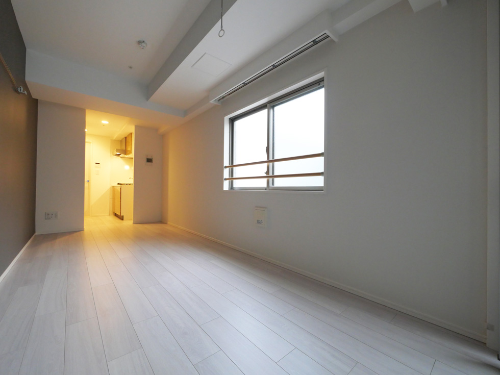 ラフィスタ錦糸町Ⅱ2階 内観