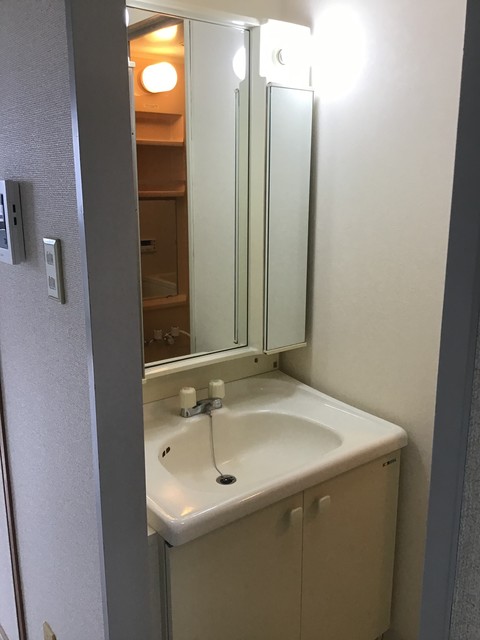 ウィンザーハイム相模原0402号室 洗面