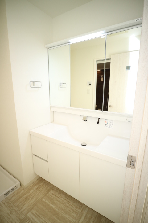 ミレニアムガーデンコート 洗面