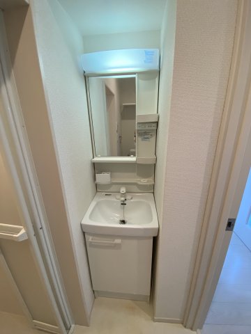 ベイルーム百合ヶ丘101号室 洗面