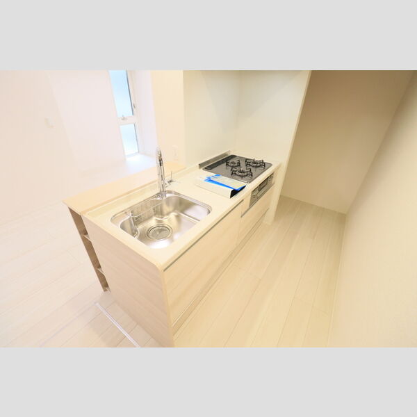 D Paina 中野島Ⅱ キッチン