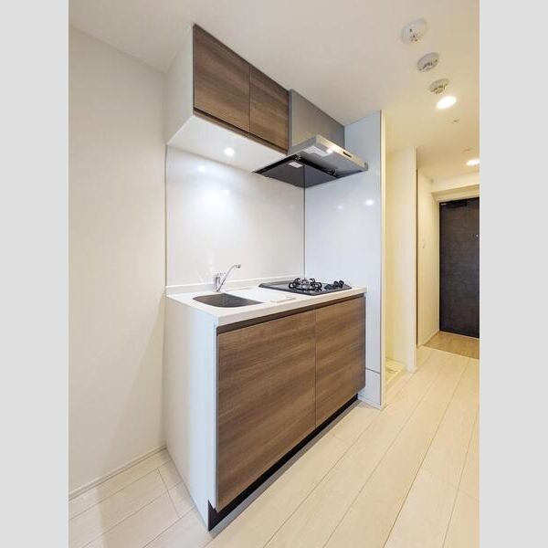 S-RESIDENCE横濱吉野町burgeon404号室 キッチン