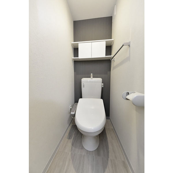 クリオ　ラモード学芸大学Ⅱ0405号室 トイレ