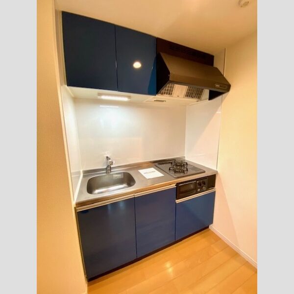 アイリス大森0702号室 0702号室システムキッチン