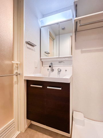 アイル グランデ川口107号室 洗面