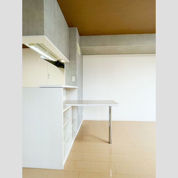 レセンテ南越谷206号室 部屋その他