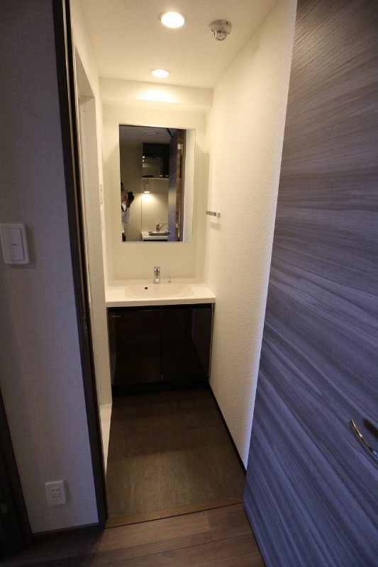 DIPS金町Residence11階 洗面