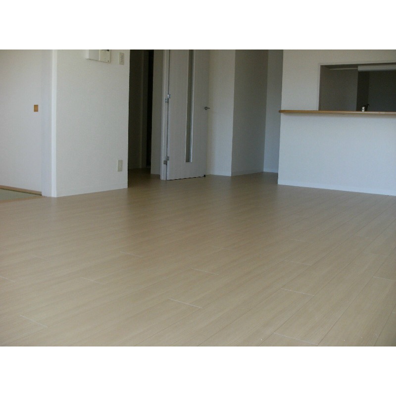 ラ・パラドール中山4階 部屋その他