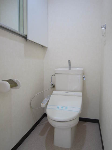 マノー藤沢0402号室 トイレ