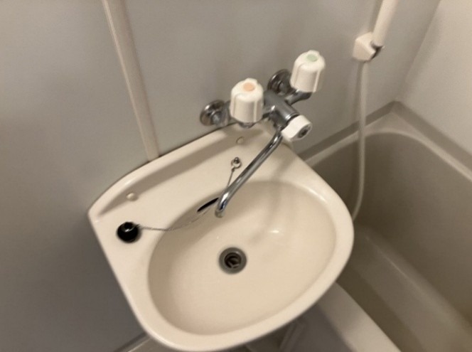 アムール泉 洗面