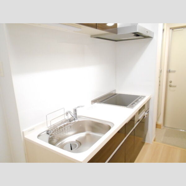 パレス国立105号室 システムキッチン