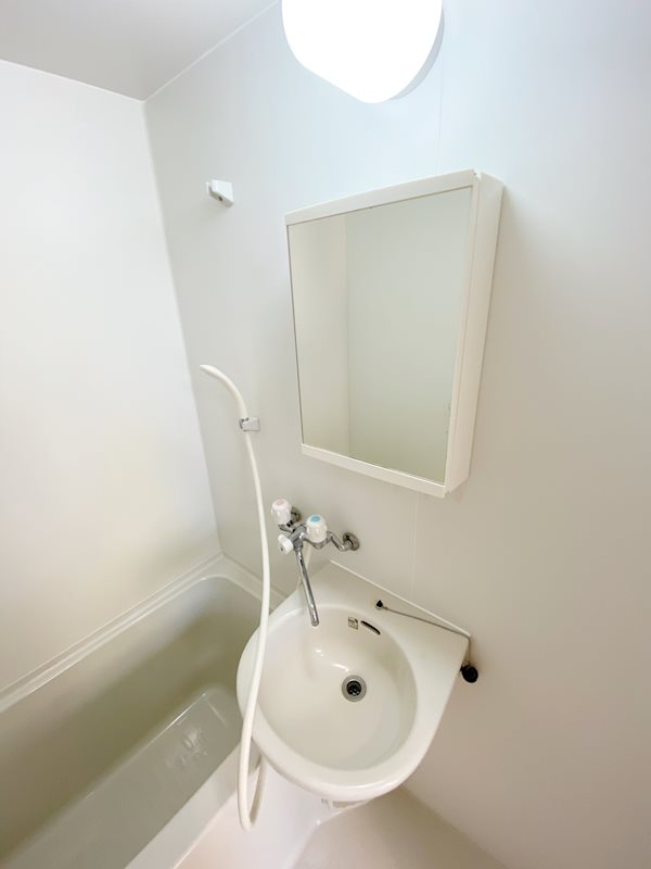 ザ・ガーデン2階 洗面