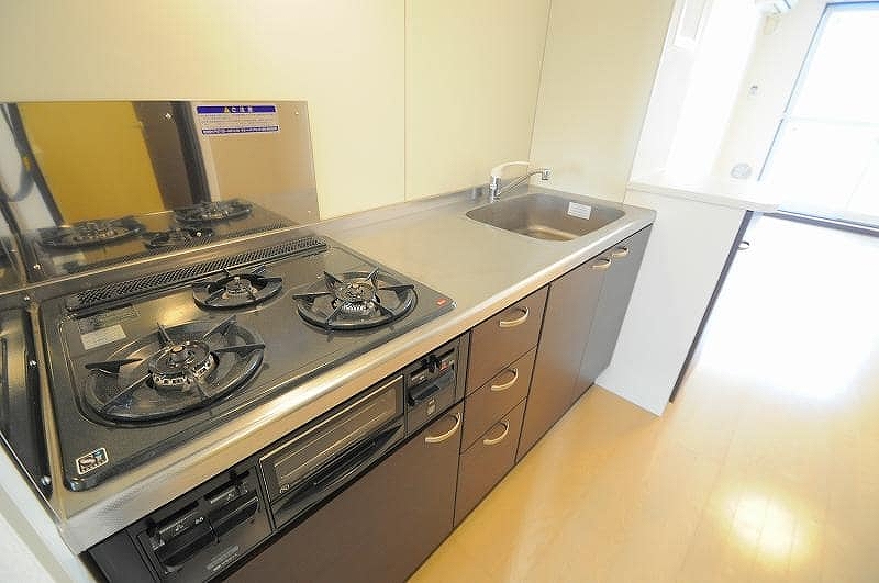 レオネクストそうさ209号室 キッチン