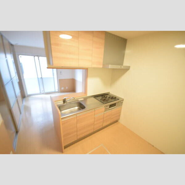 ソレーユ川口101号室 システムキッチン