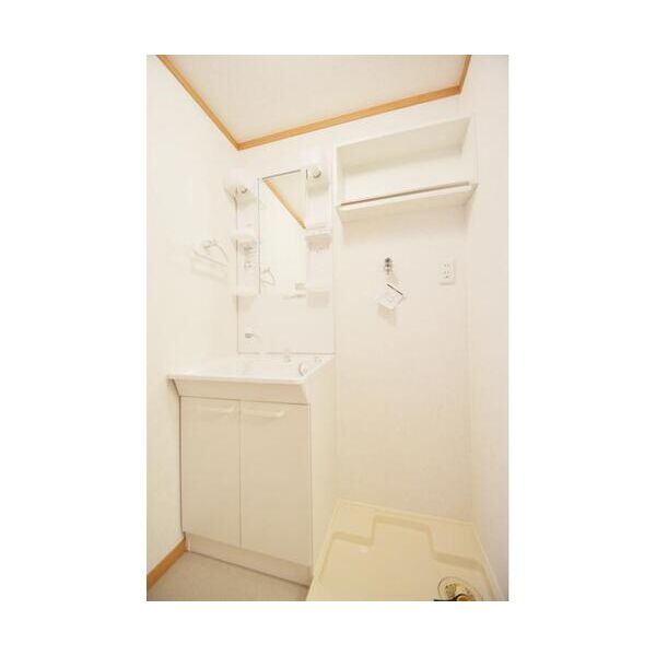 シュエットメゾン103号室 洗面