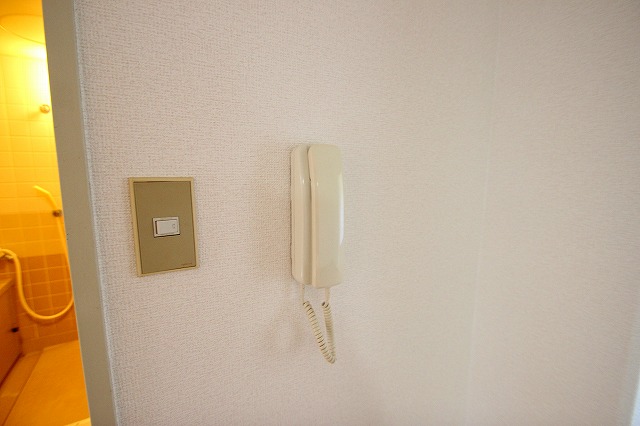 パークアベニュー3階 部屋その他