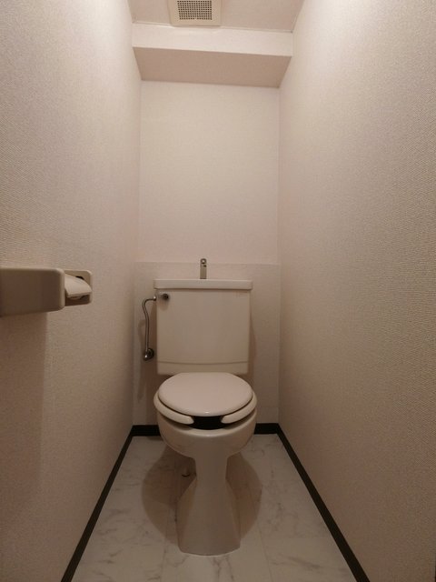 白樺0303号室 トイレ