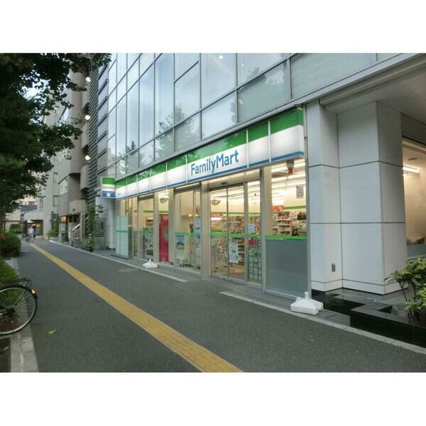 ダイヤモンドレジデンス新宿212号室 周辺