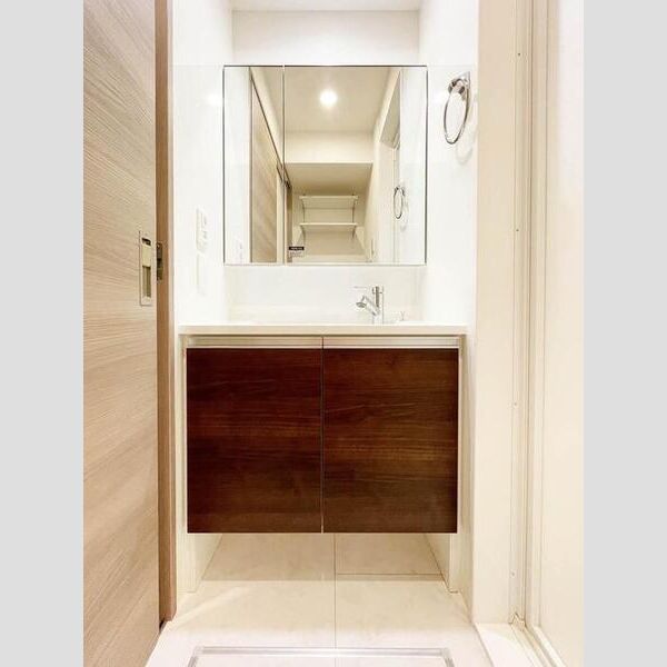 グラナーデ興野101号室 洗面