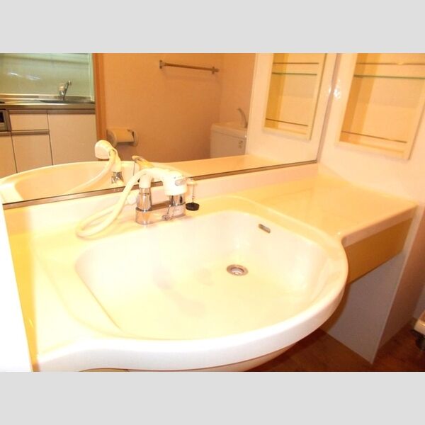 アンソレイユ港南台103号室 洗面台