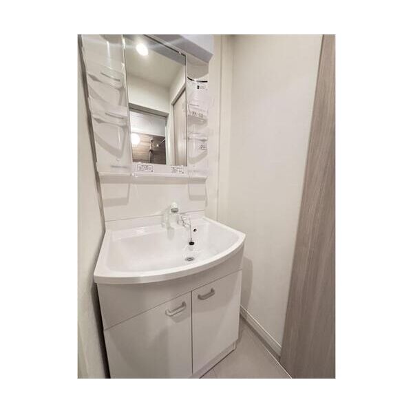 レイズ日進101号室 洗面