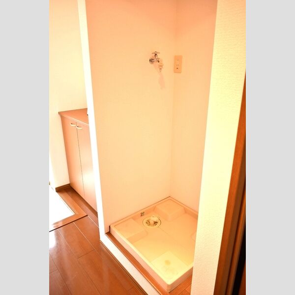 リッツハウス203号室 室内洗濯機置場