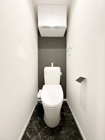 スカイルーチェ南浦和302号室 トイレ