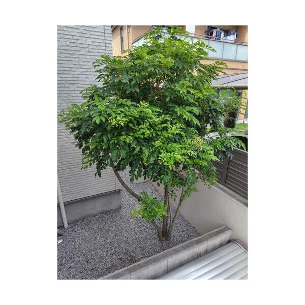 アットリラ稲毛海岸A305号室 部屋その他