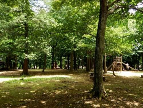 コーポルシード 八千代台北市民の森