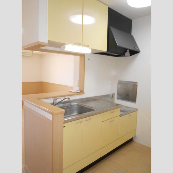 サンモールプラザ　A/BA102号室 キッチン