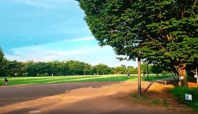 パークサイドヒル柏 近くに安心の防災公園。四季折々楽しめます。