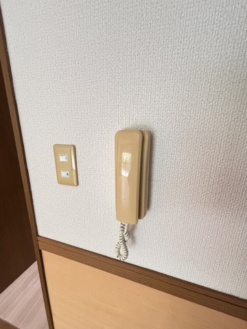 プレミール壱番館0305号室 その他