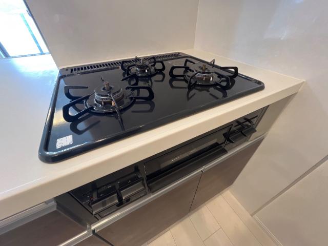 フォルトゥーナ（Ｆｏｒｔｕｎａ）501号室 キッチン